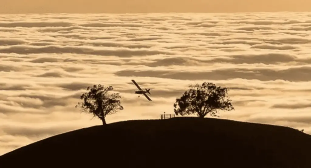 Bail Bonds California