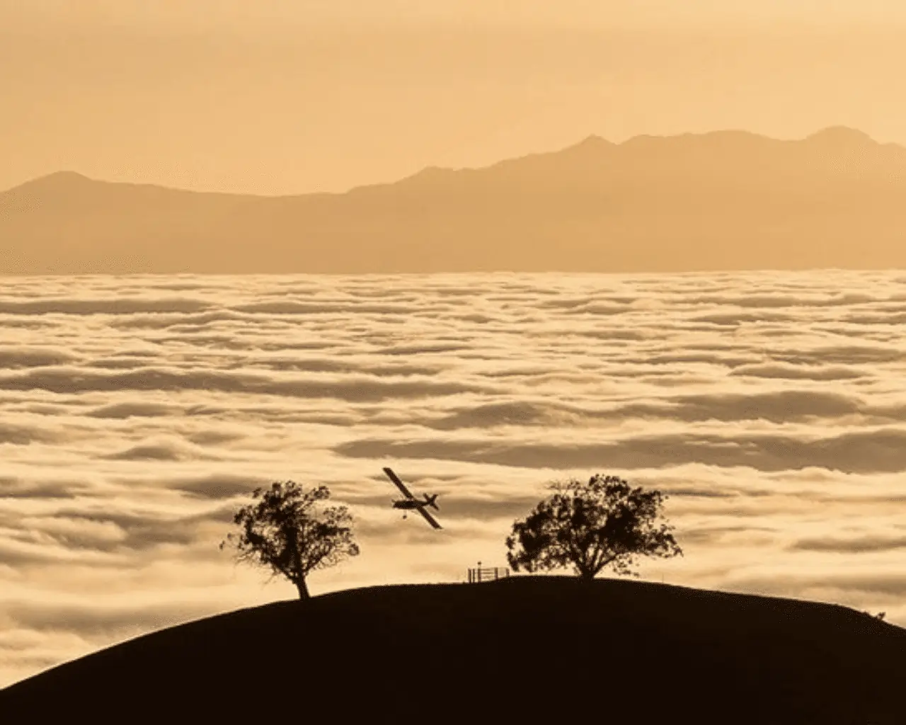 Bail Bonds in Port Hueneme