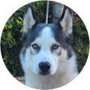 Robert G. profile picture
